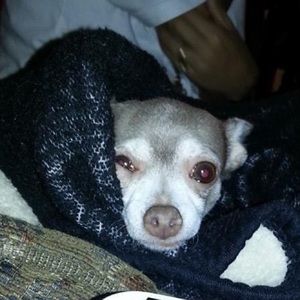 Meet your Posher, Starr